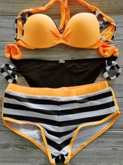 Bikini Split female swimwear